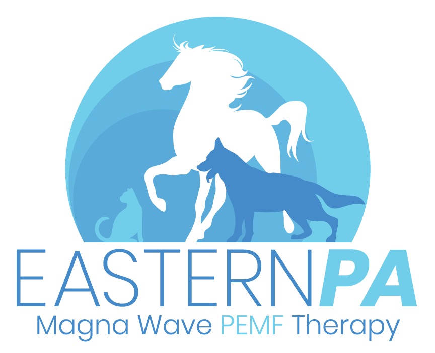 Eastern Pa Magnawave PEMF Therapy